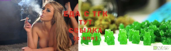 шишки Няндома