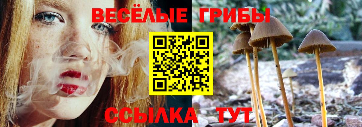 Югорск  Галлюциногенные грибы Psilocybine cubensis  Вход с VPN 